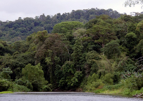 Bosawás Biosphere Reserve